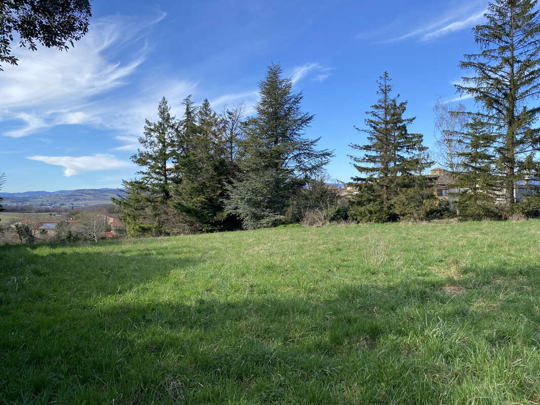 Terrain à bâtir de 2230 m2 à MARCY 69480 - photo 4