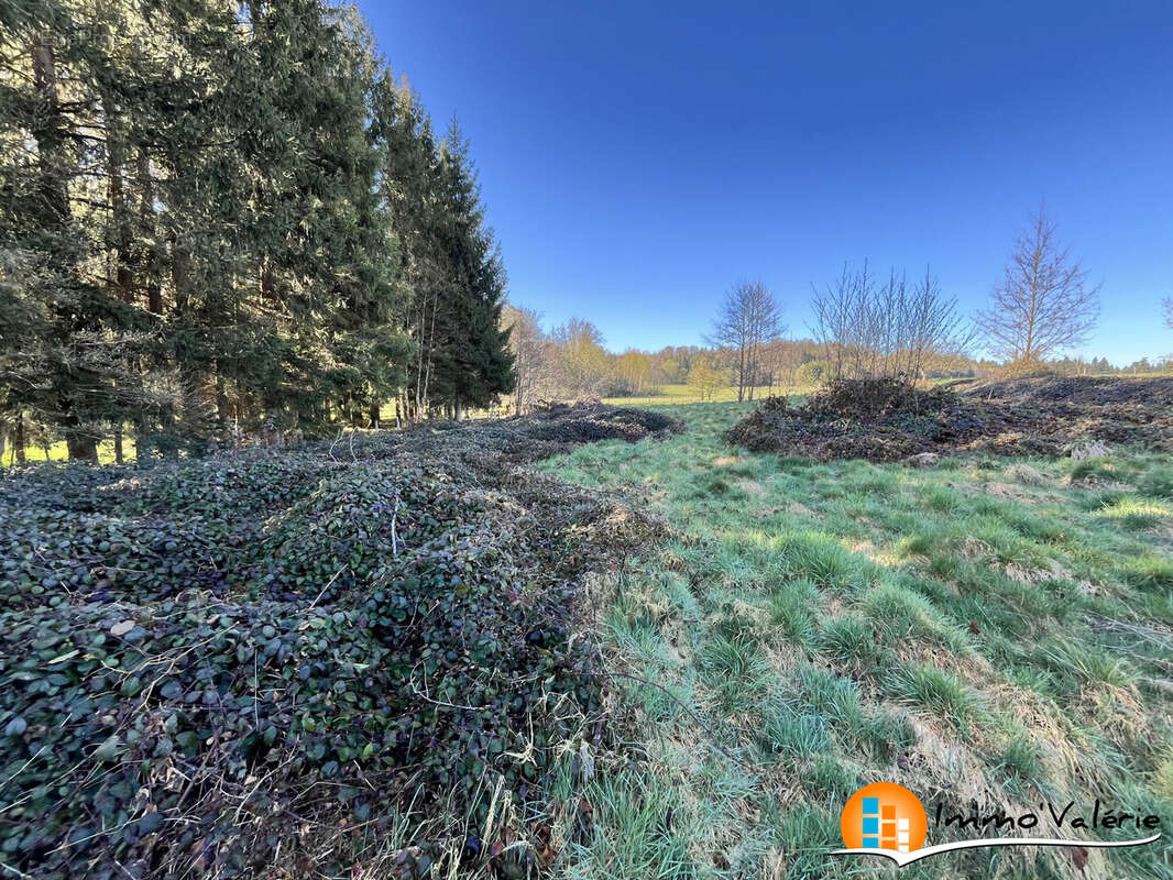 Terrain 2060 m² à Vimenil  - photo 4