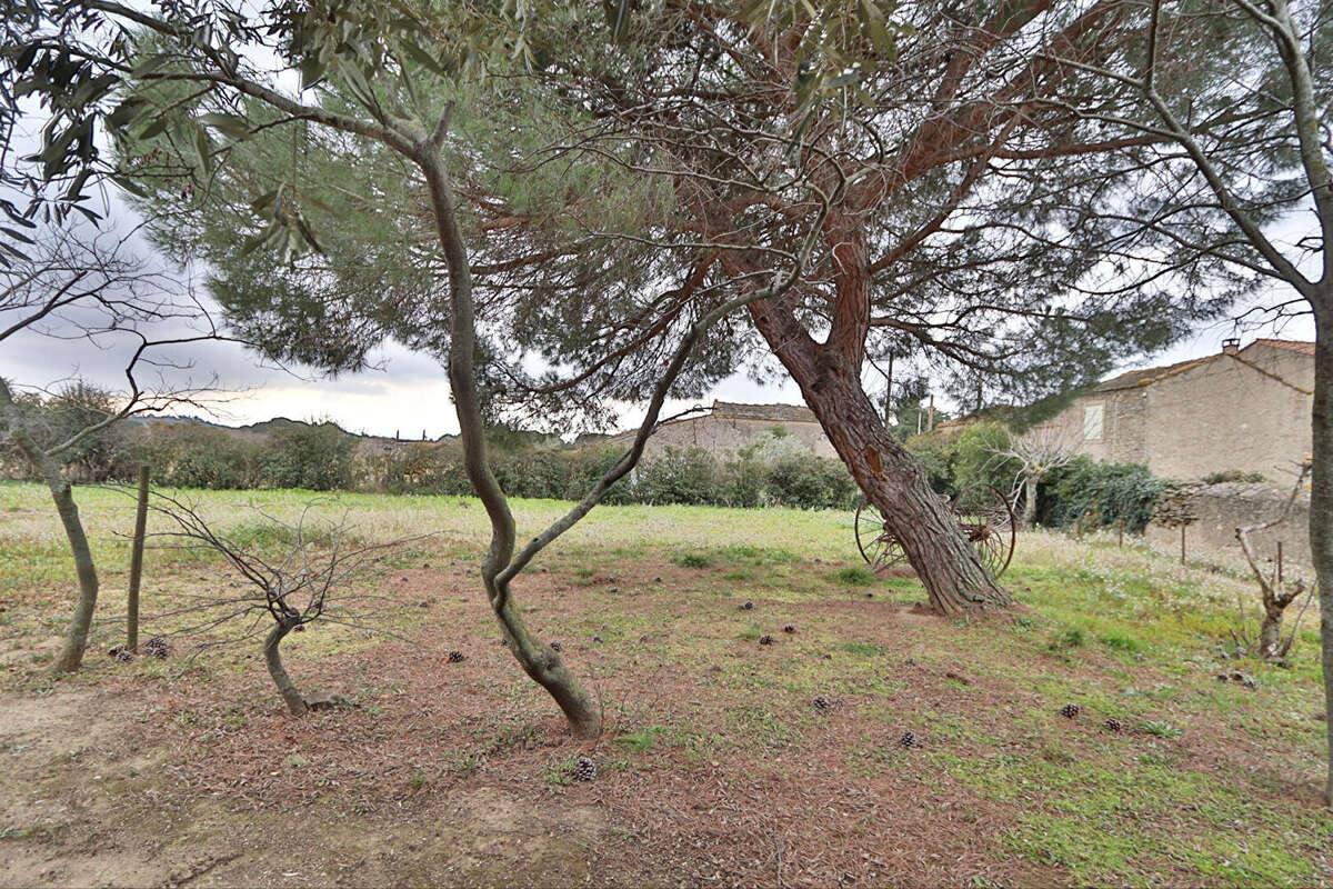 Maison à LAURE-MINERVOIS