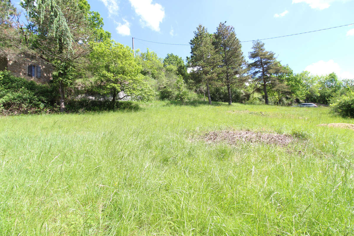 Terrain à SAINT-AFFRIQUE