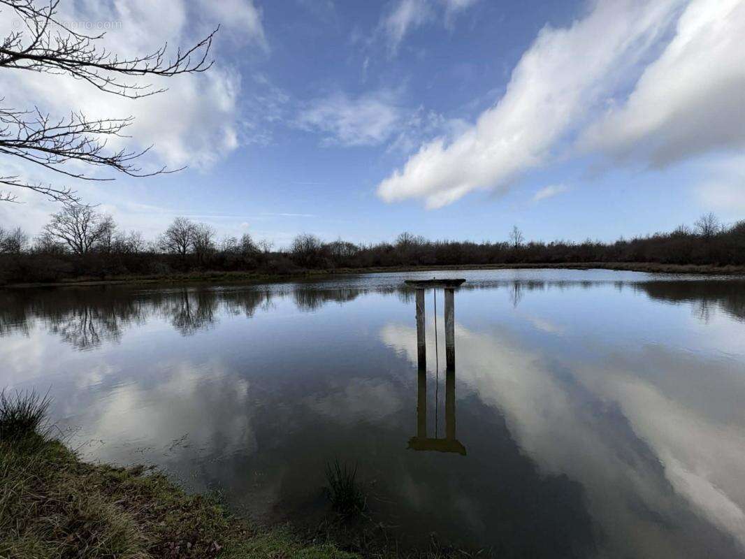 Terrain à TENDU