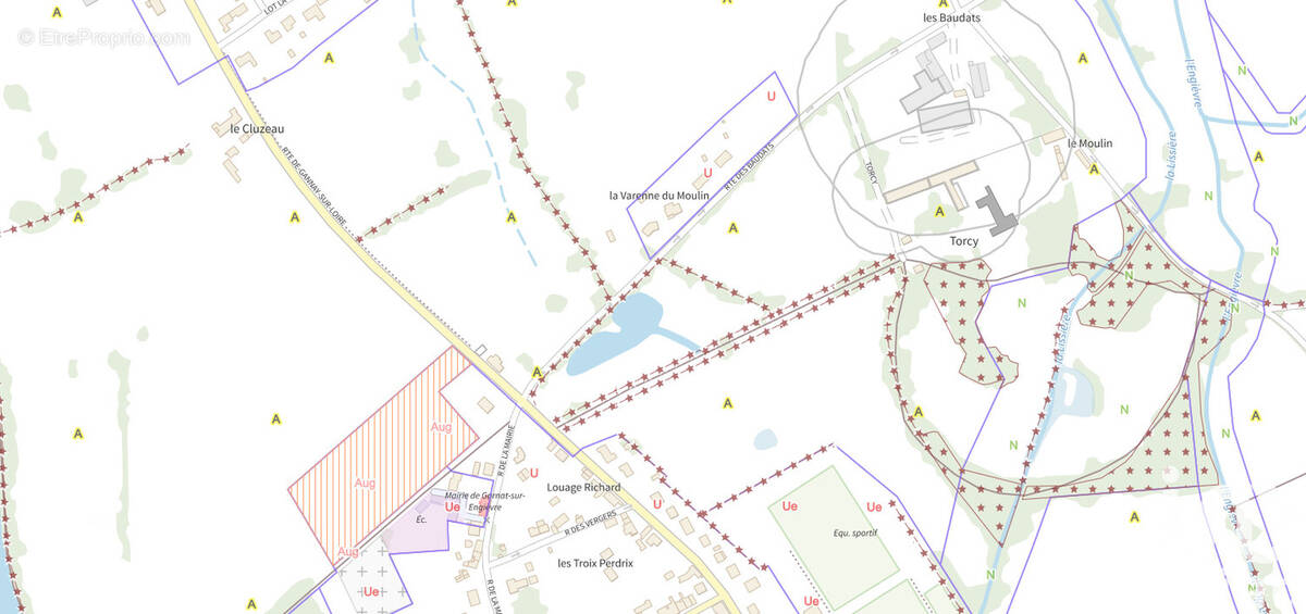 Photo 1 - Terrain à GARNAT-SUR-ENGIEVRE