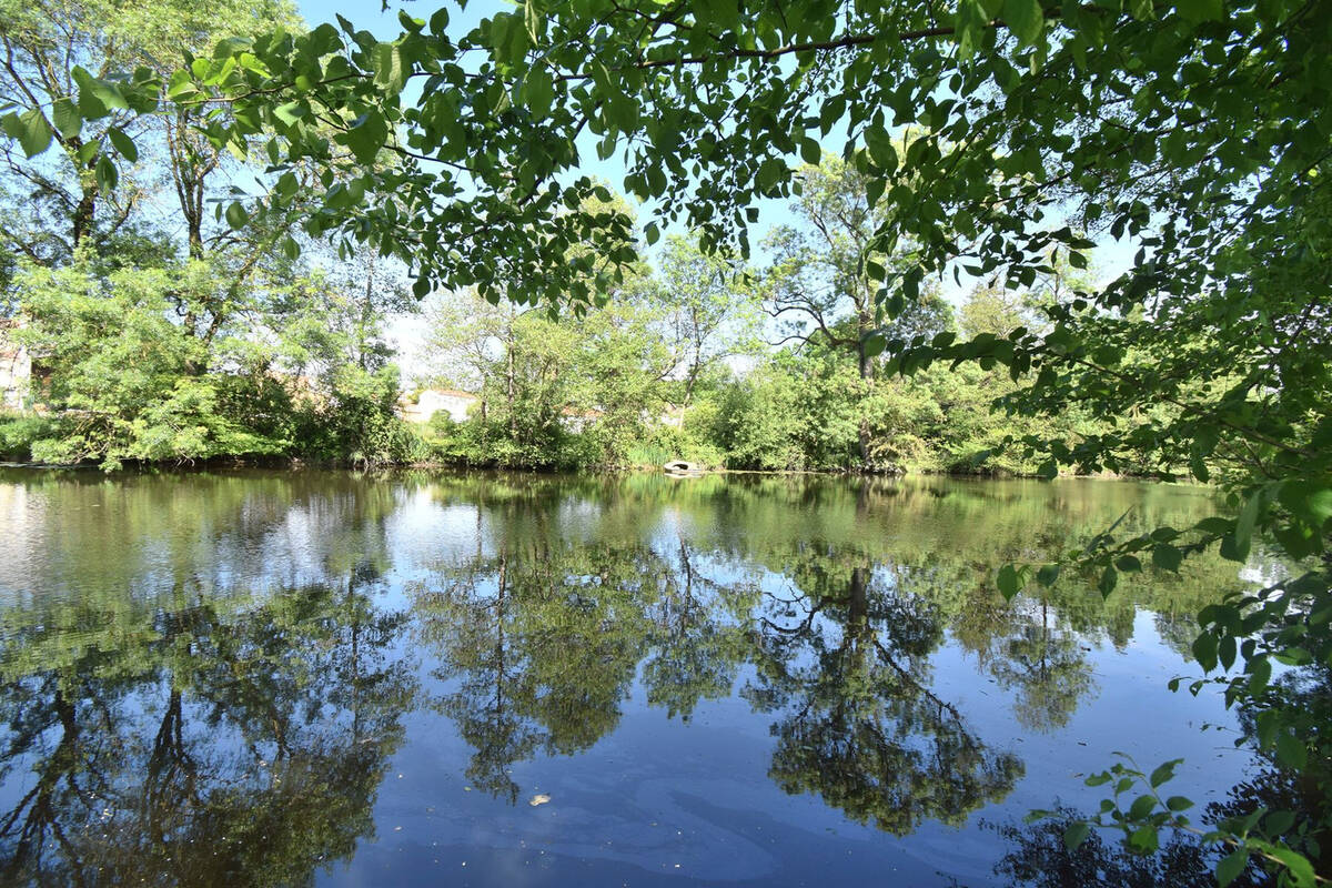 Terrain à SAINT-COLOMBAN