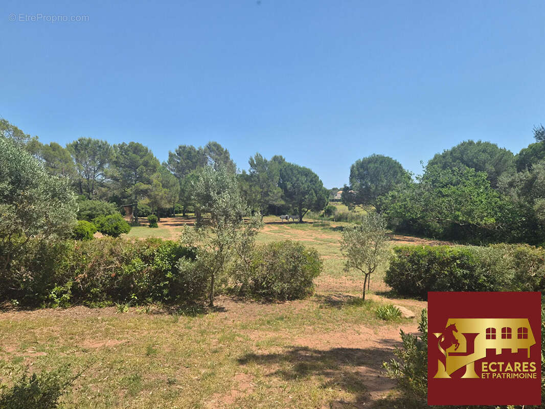 Maison à ROQUEBRUNE-SUR-ARGENS