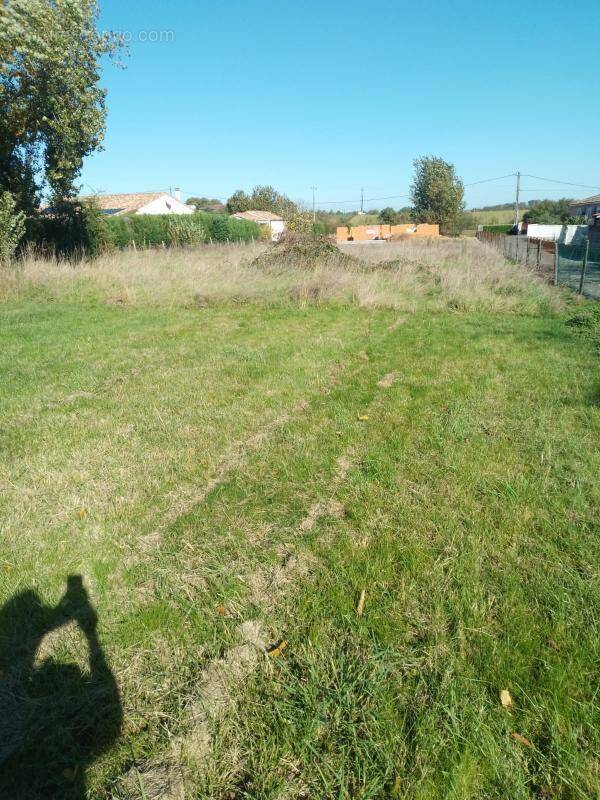 Terrain à ALBI