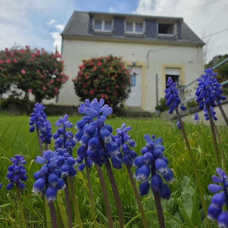 Maison à QUIMPER