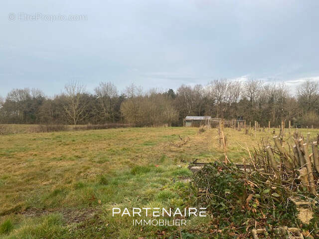 Terrain à TALMONT-SAINT-HILAIRE
