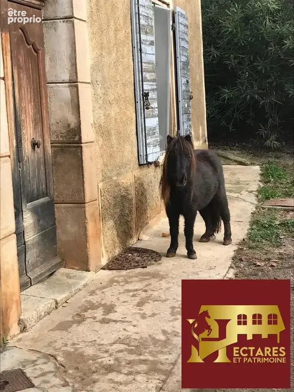 Propriété équestre clef en main sur 3ha . Secteur VAR EST - photo 16