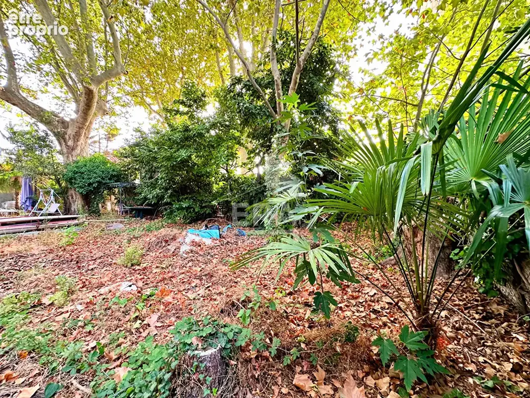 Terrain 438m² à perpignan - photo 17