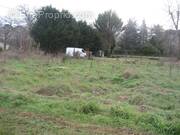 Terrain à VILLANDRAUT