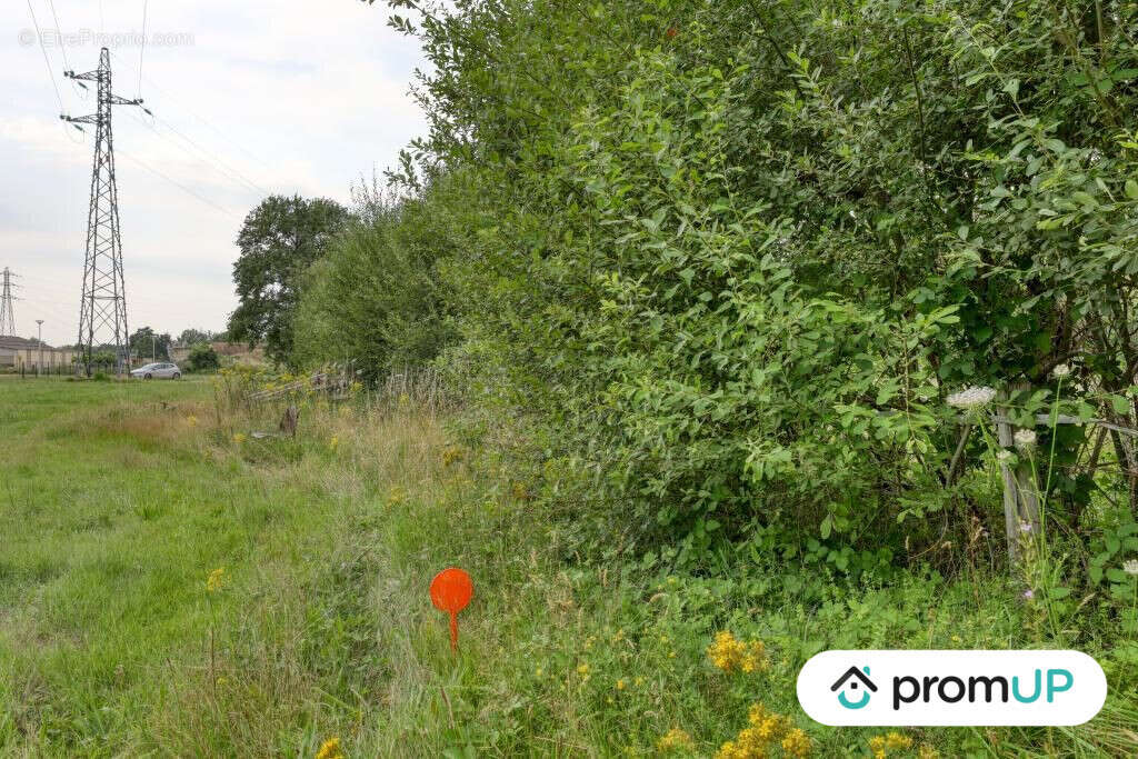 Terrain à SAINT-MARS-LA-BRIERE