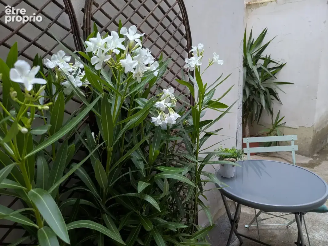 Appartement 1 pièce 26 m² à vendre à Paris-16e (75016) - photo 5