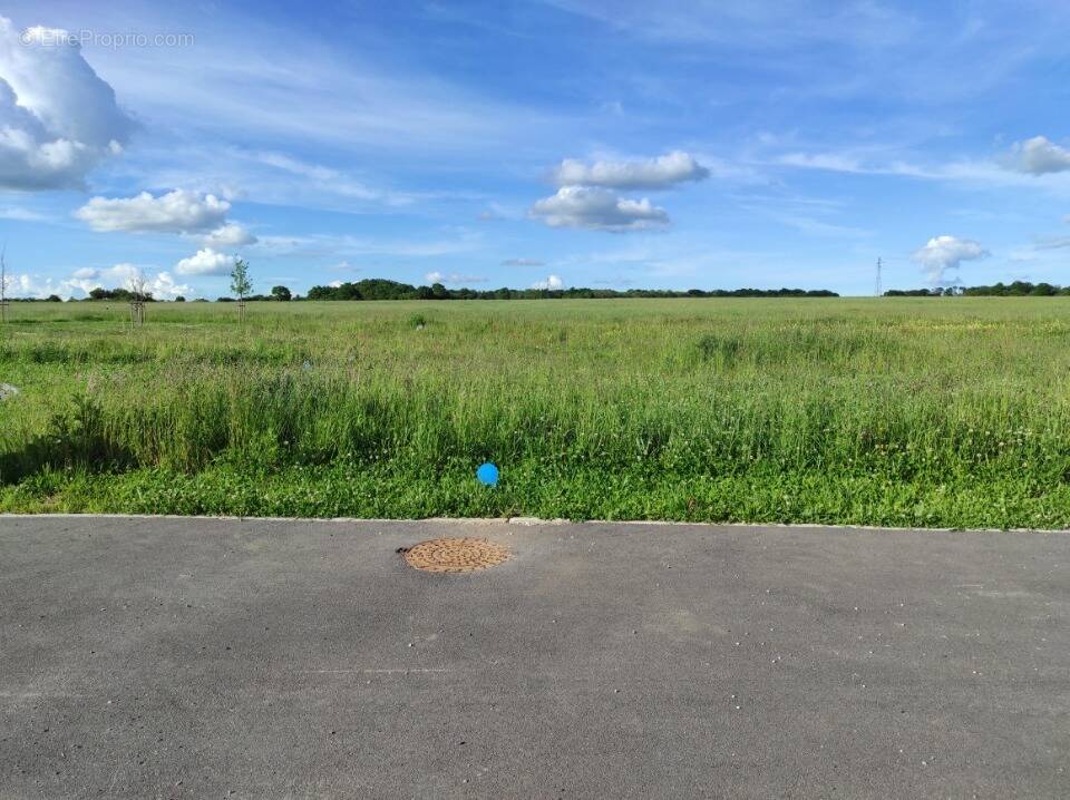 Terrain à BENNECOURT