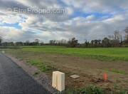 Terrain à CARDONVILLE