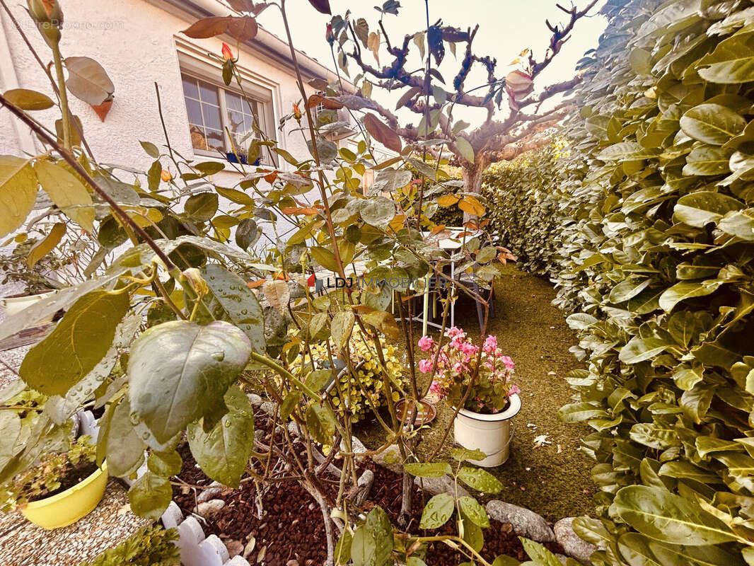 Maison à ARLES-SUR-TECH