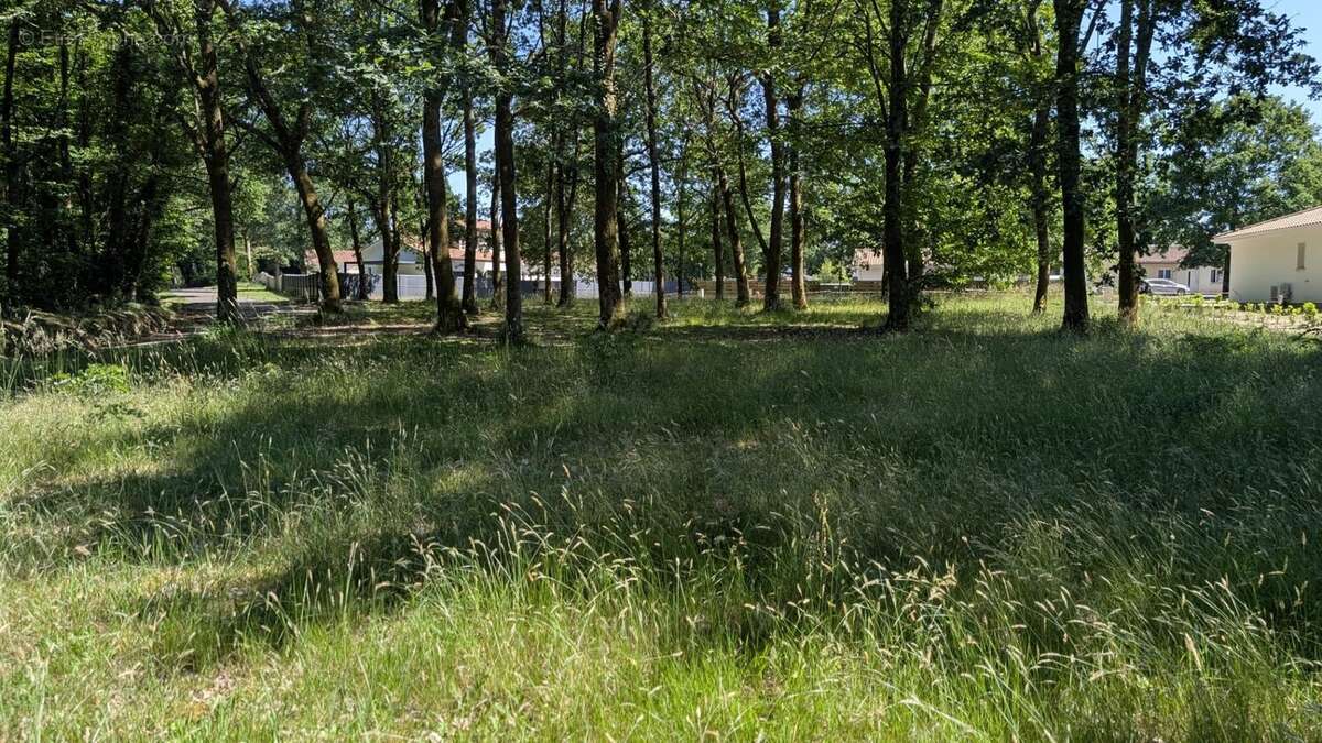 Terrain à TARTAS