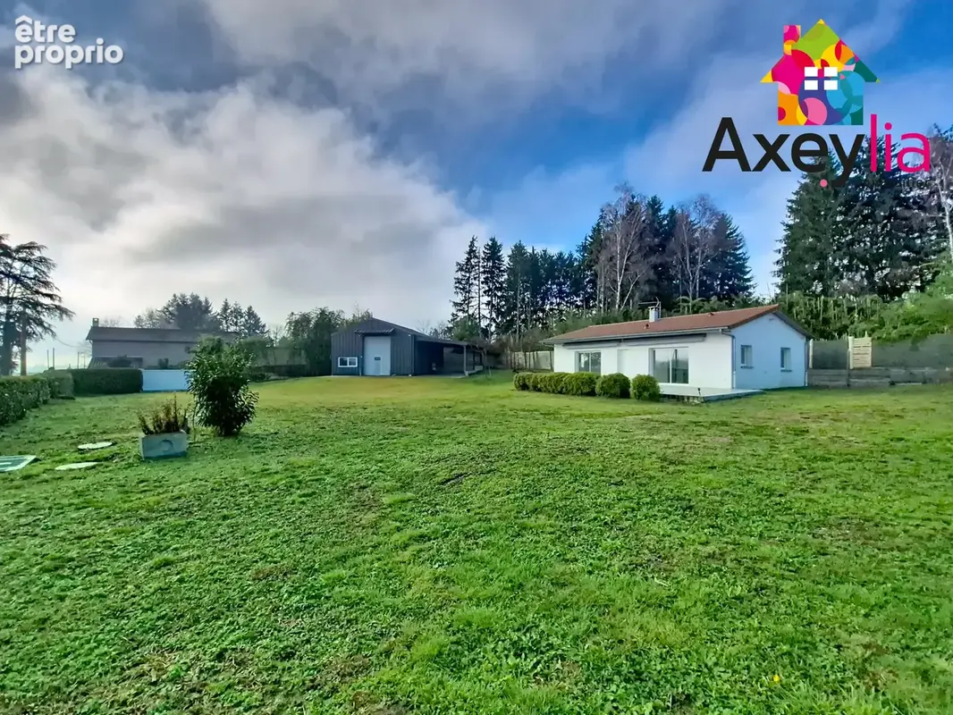 À vendre - briennon - local professionnel avec bureaux et entrepôt - photo 18