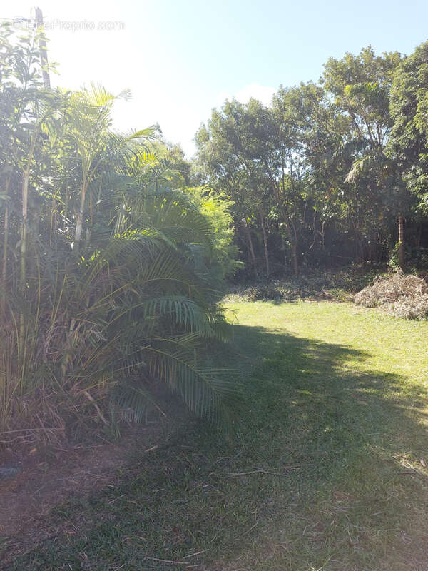 Terrain à SAINTE-MARIE