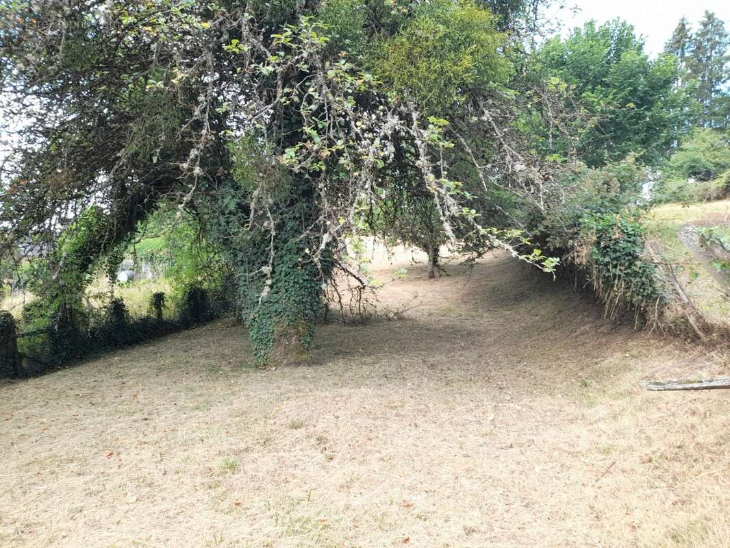 Maison à Cussy en Morvan  de 136 m2 - 8 pièces - diverses dépendances - terrain 1182 m2 - photo 31
