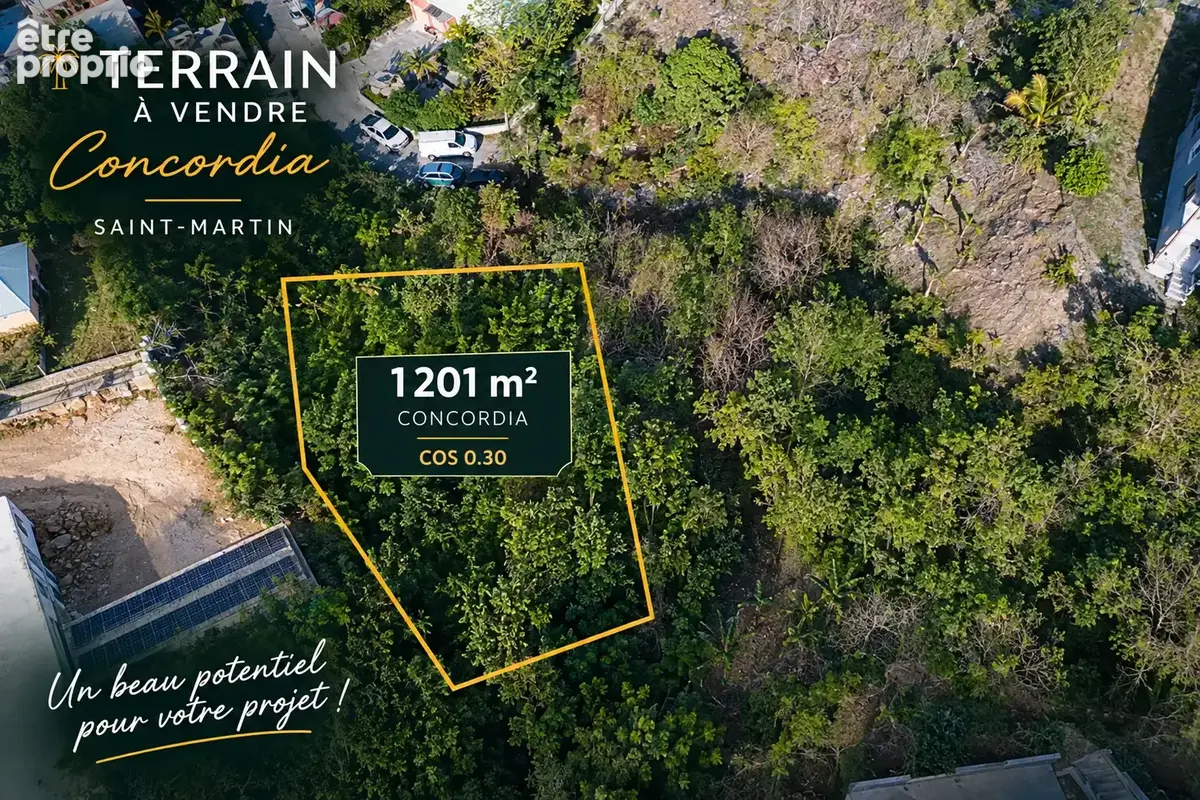 Photo Terrain à Saint-Martin au prix de 218 000€