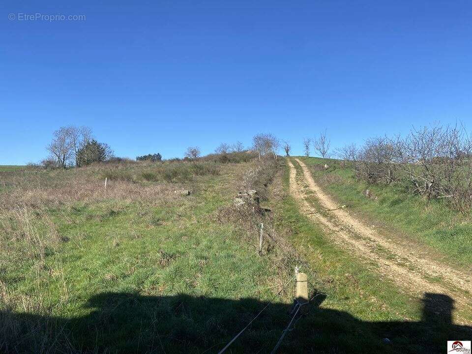 Maison 74 m² à Cremeaux  - photo 2