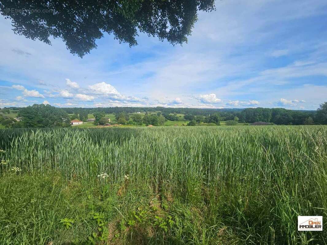 Terrain 3527 m² à Linards  - photo 2