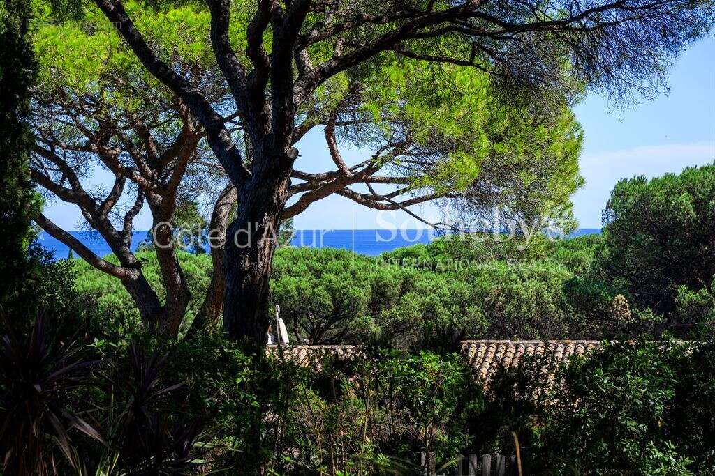 Maison à RAMATUELLE