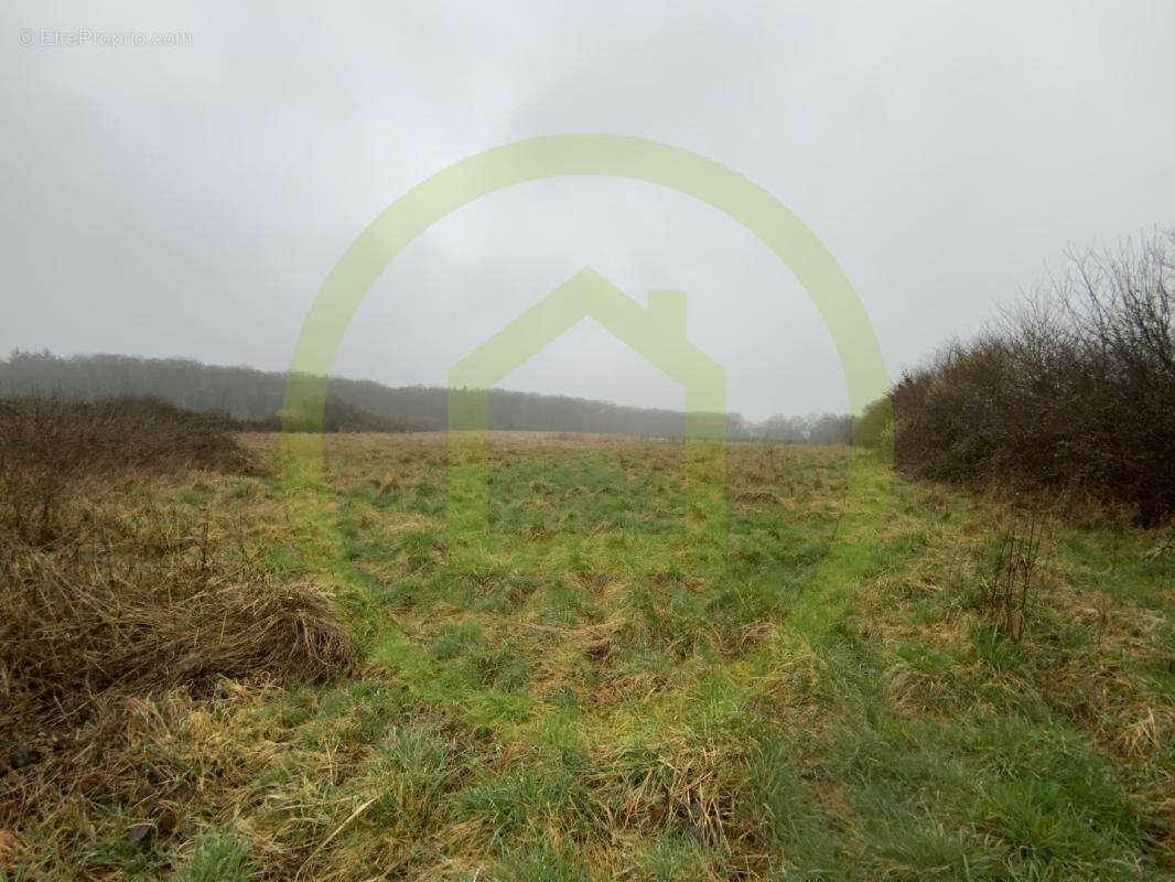 Terrain à LIGNEROLLES