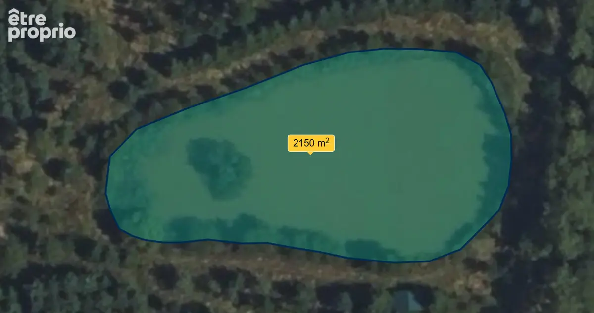 Plan d'eau et bois sur 47 800 m²  -  sortie d'alencon - photo 3