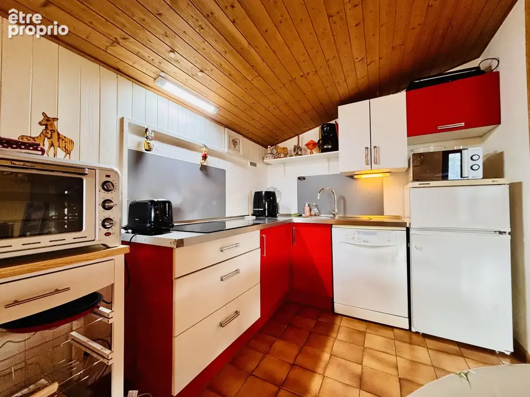 Châtel - Dernier étage avec vue montagne - T2 + coin montagne - Garage - photo 6