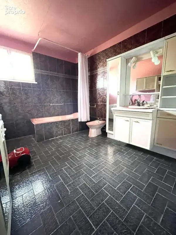 Maison 230m² à saint-pey-d'armens - photo 7