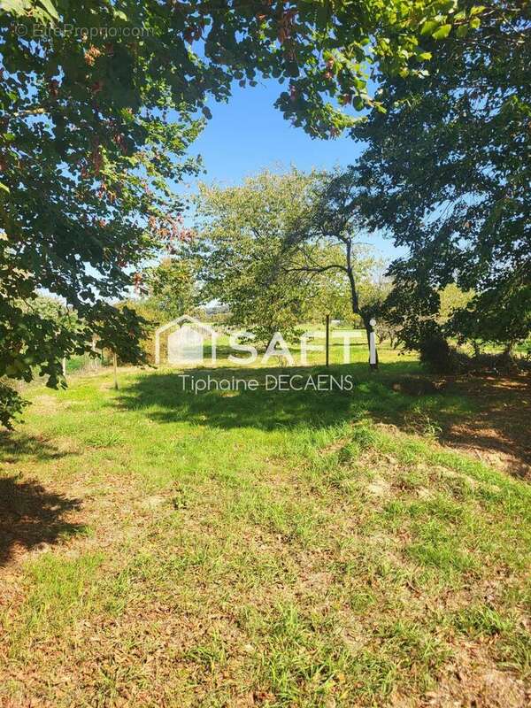 Photo 3 - Maison à PARCAY-SUR-VIENNE