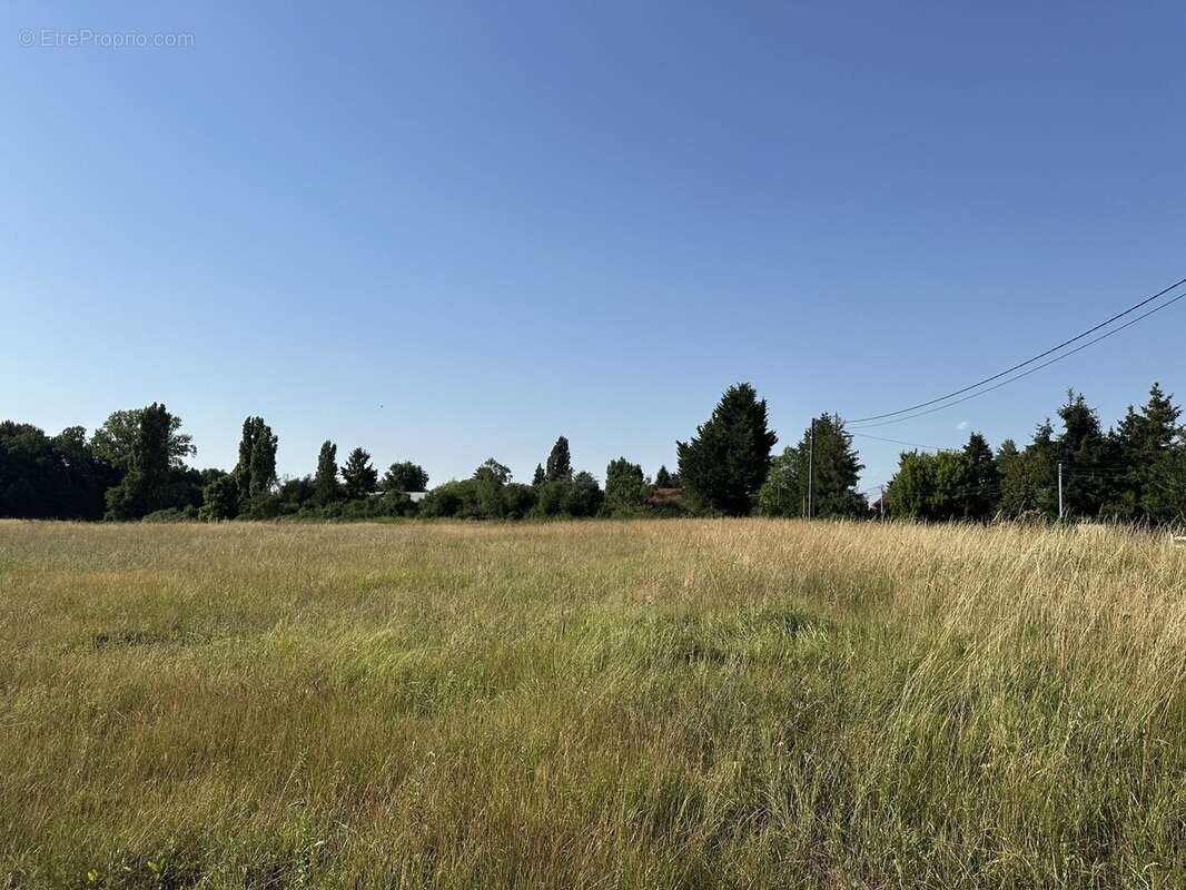 Terrain à LA COUR-MARIGNY