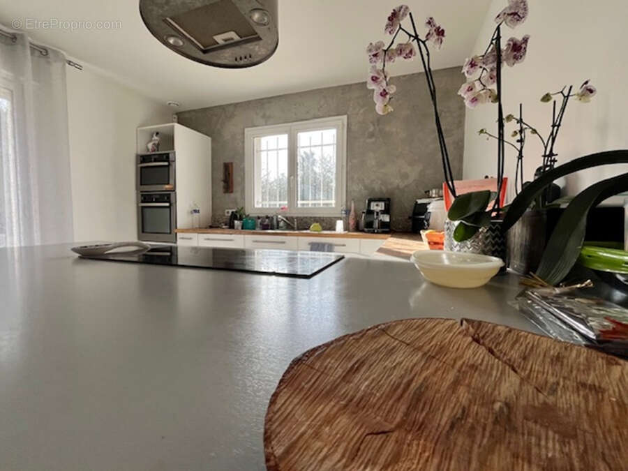 Maison à POLLESTRES