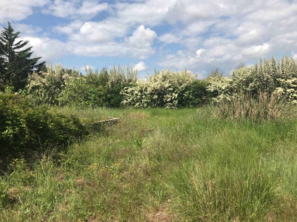 Terrain à PUGET-VILLE