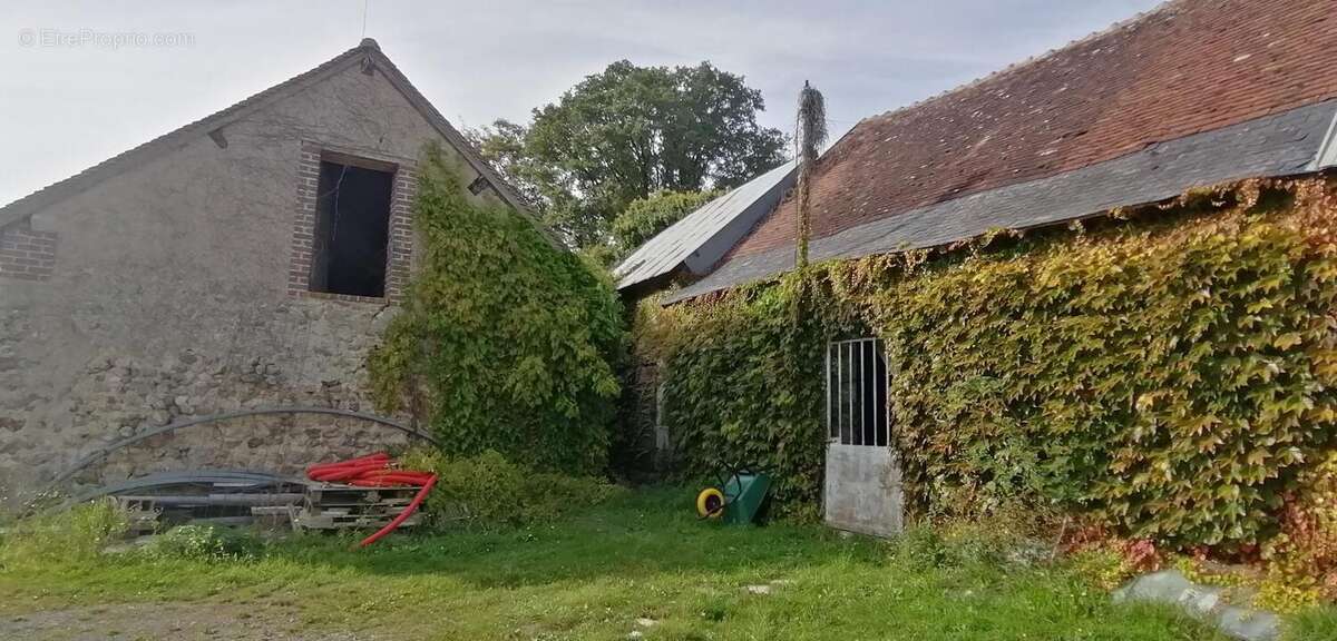 Photo 9 - Maison à BUEIL-EN-TOURAINE