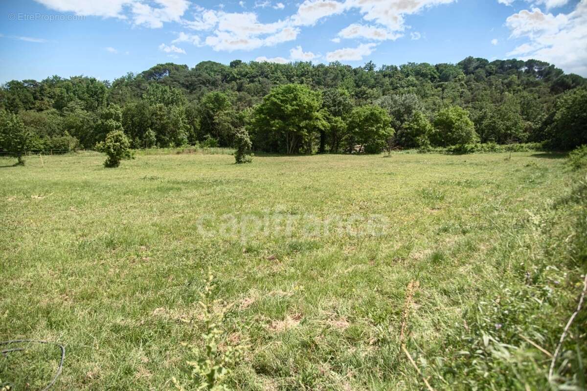 Entre Uzès et La Roque-sur-Cèze, Éden Provençal : Mas du XVIIIe & Son Domaine Privé sur 3,3 hectares - photo 4