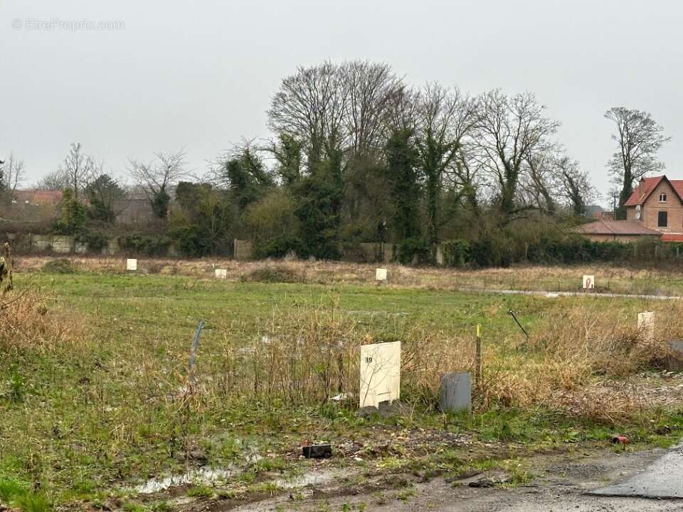 Terrain à HENIN-BEAUMONT