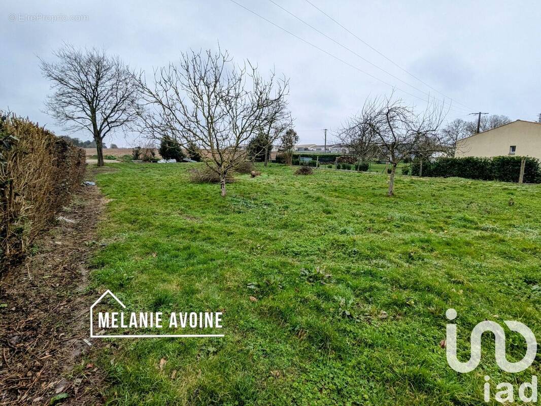 Photo 1 - Terrain à CIRE-D&#039;AUNIS