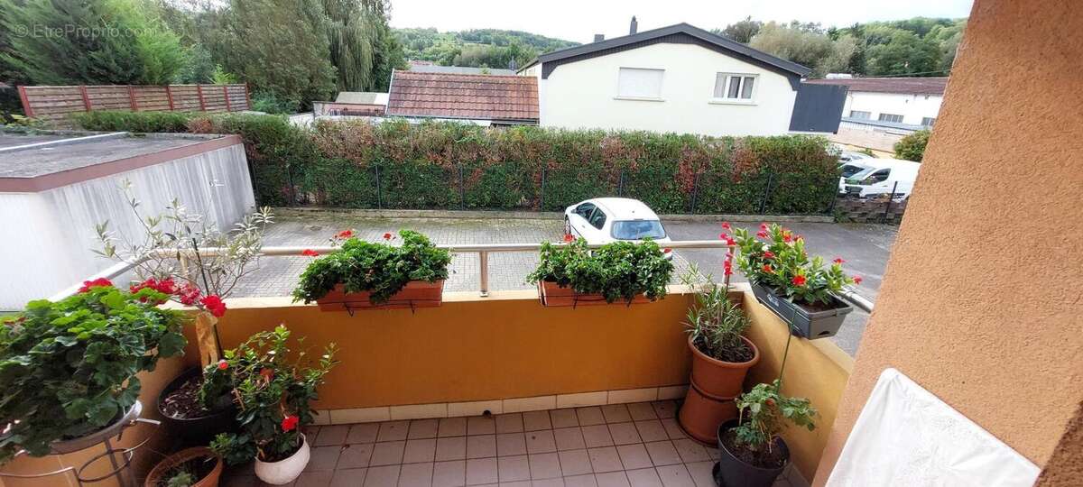 Photo 4 - Appartement à WASSELONNE