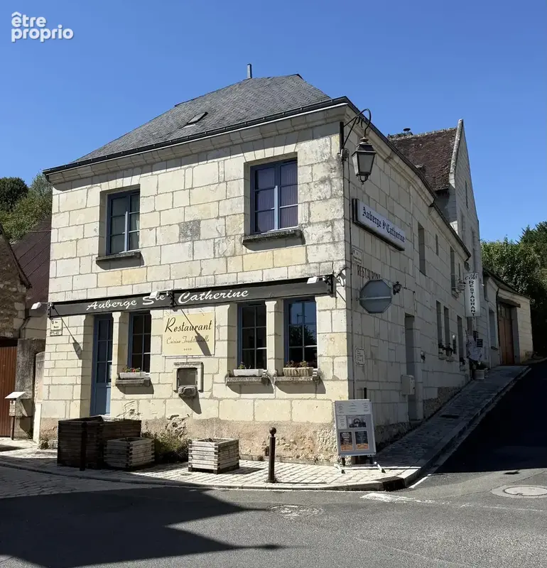Maison 12 pièces 436 m² à vendre à Troo (41800) - photo 2