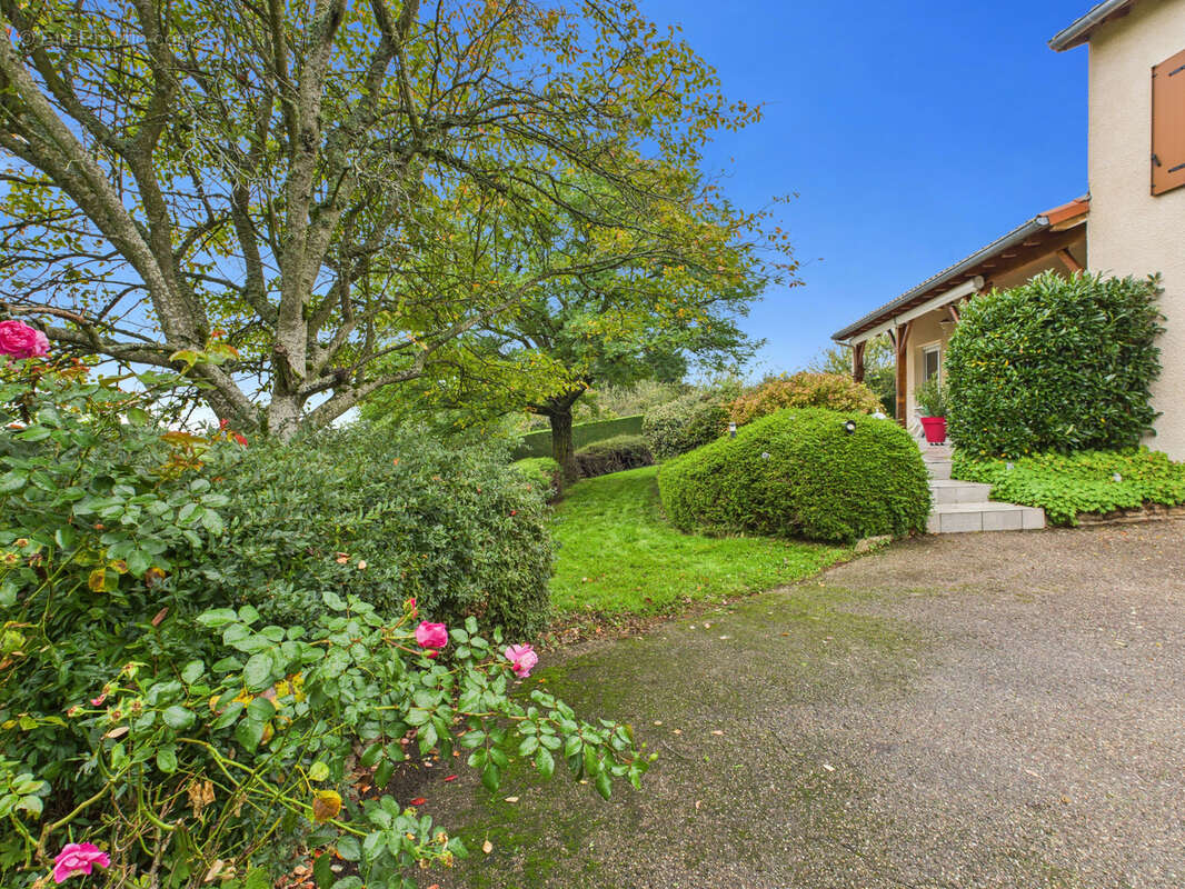 Maison à SAINT-FERREOL-D&#039;AUROURE