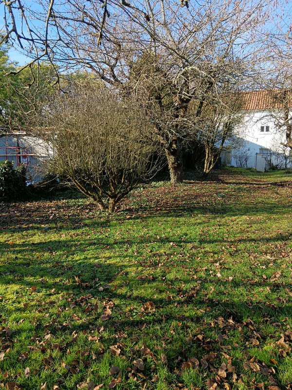 Maison à CEAUX-EN-COUHE