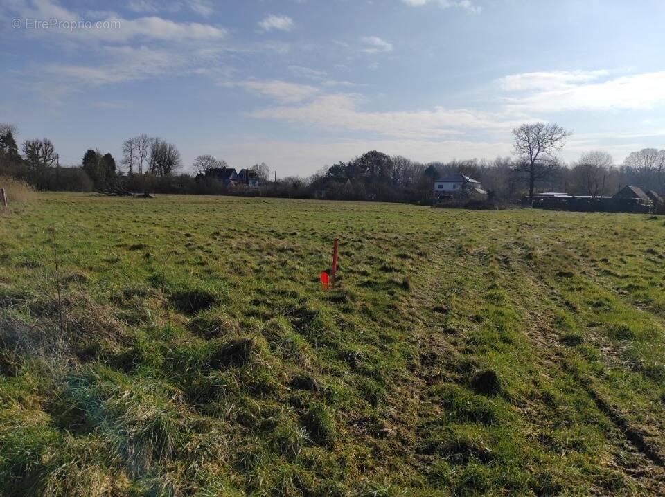 Terrain à AUBERVILLE