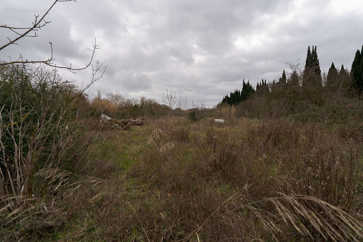 Terrain à CARCASSONNE