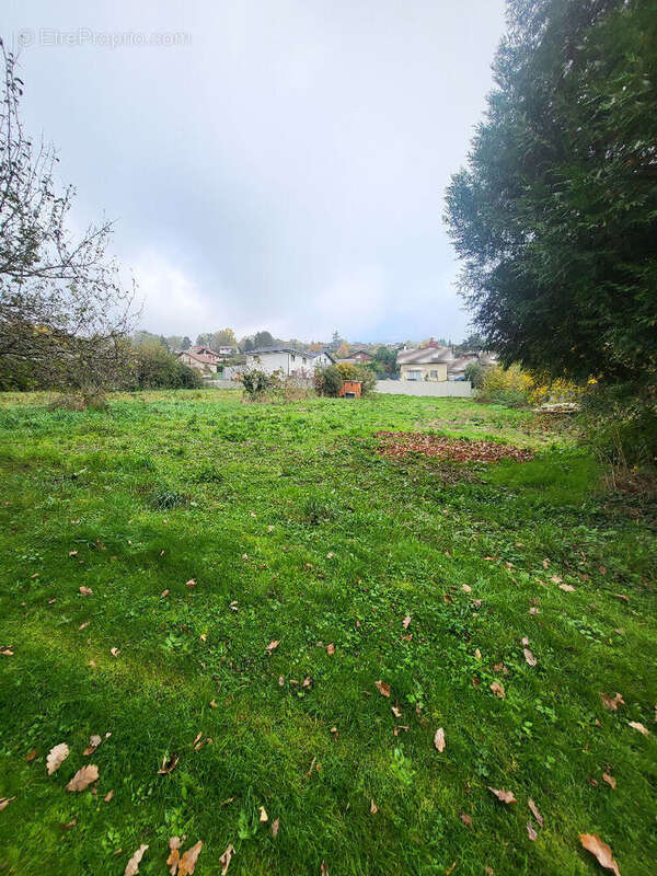 Terrain à CRANVES-SALES