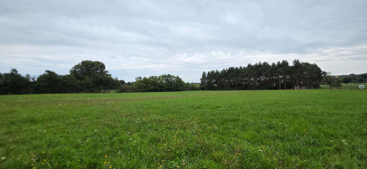 Maison à TOURNON-SAINT-PIERRE