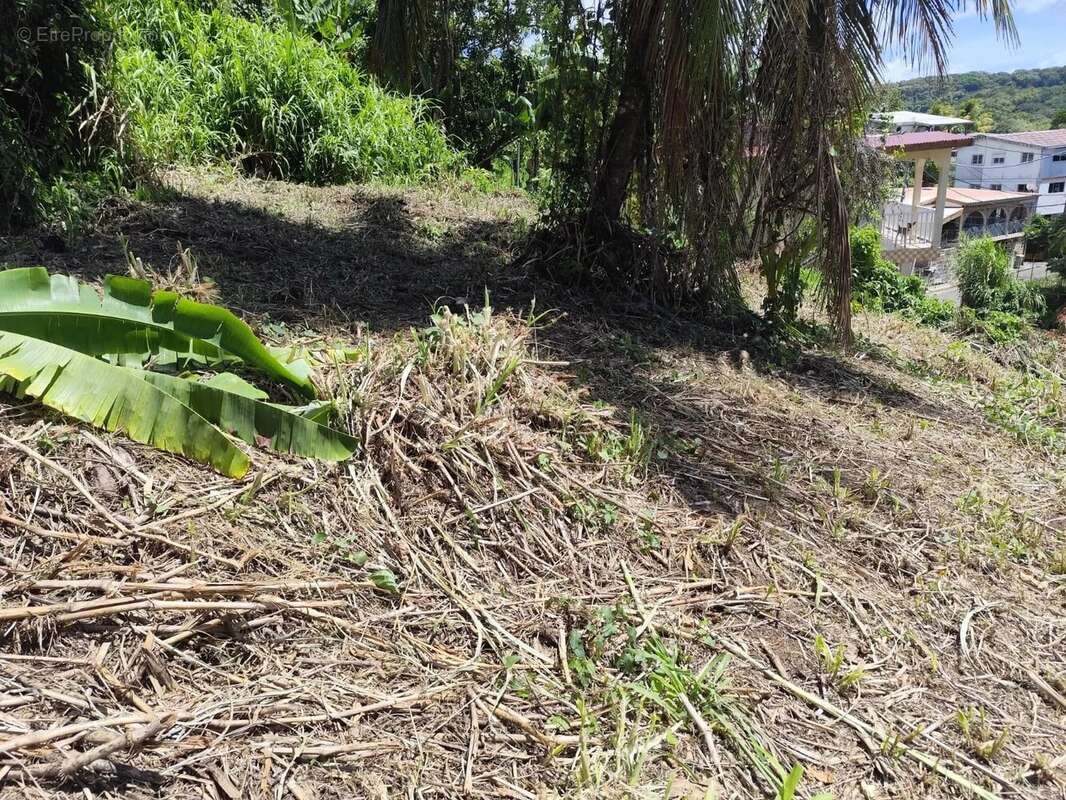 Terrain à FORT-DE-FRANCE