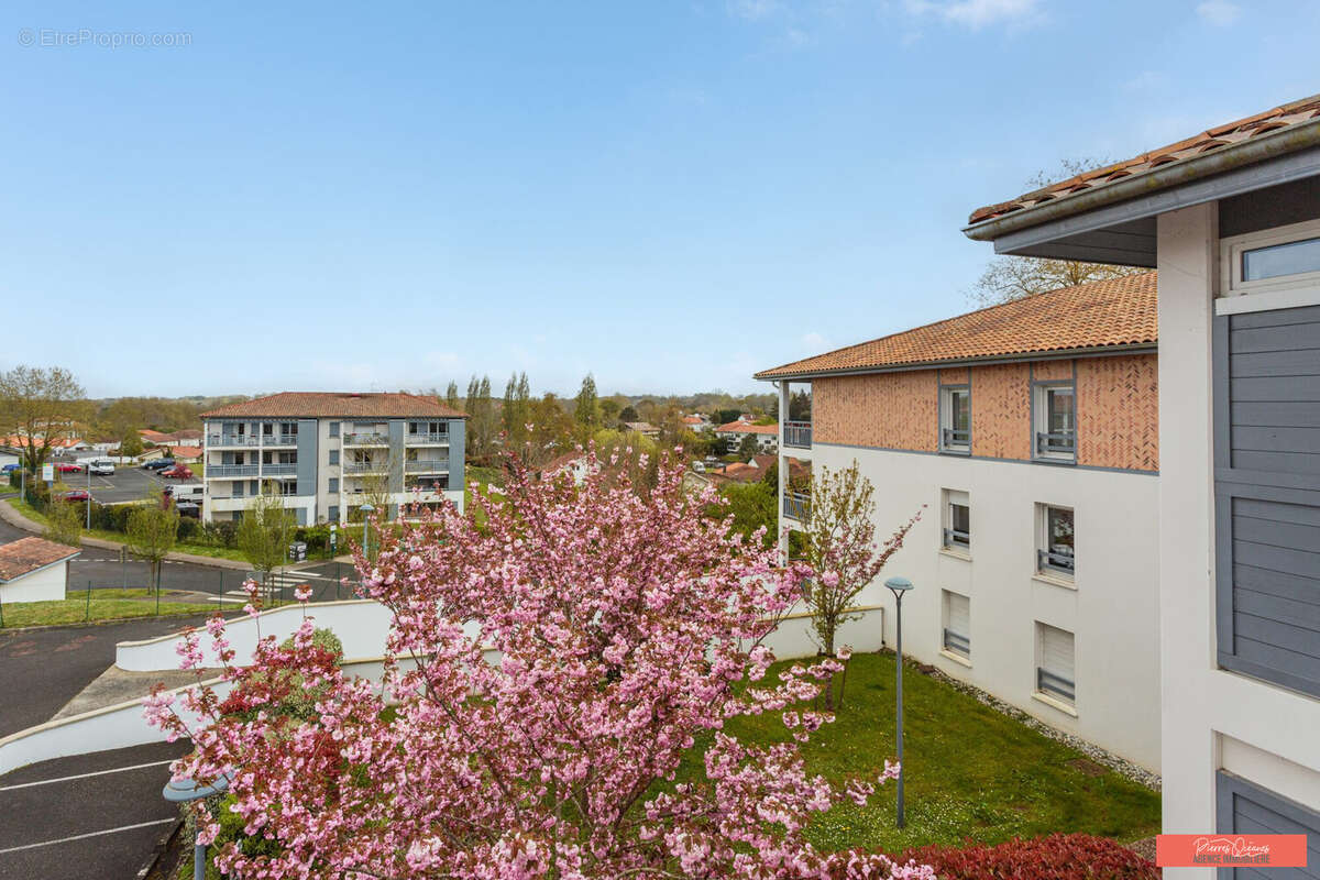 Appartement à SAINT-MARTIN-DE-SEIGNANX