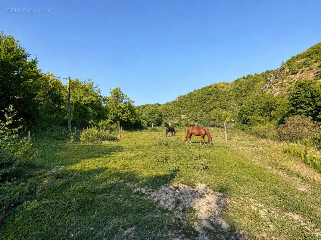 Maison rénovée, dépendances, écuries, carrière   1,9 ha de terrain - photo 20